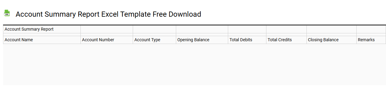 Account summary report Excel template free download