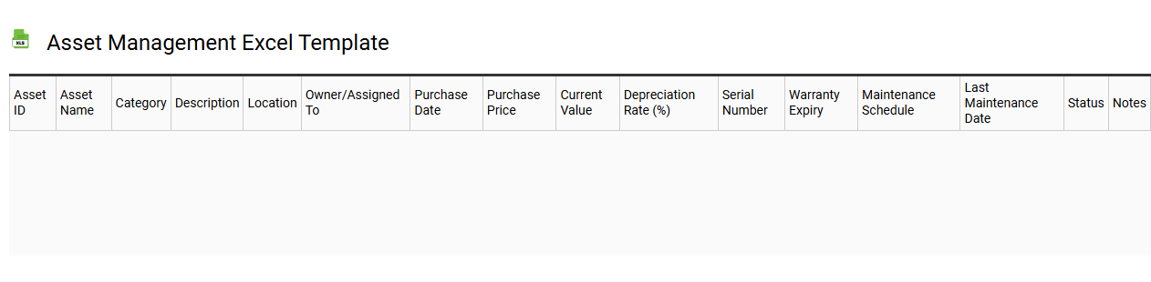 Asset management Excel template