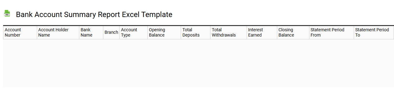 Bank account summary report Excel template