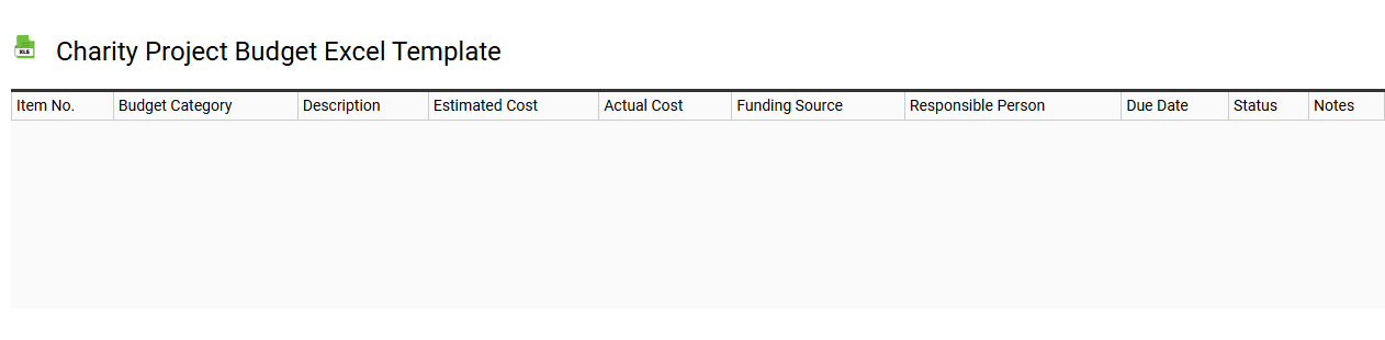Charity project budget Excel template