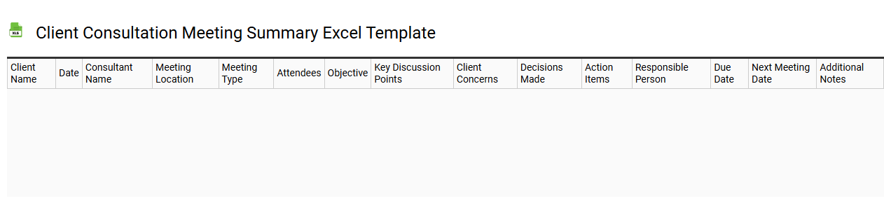 Client consultation meeting summary Excel template