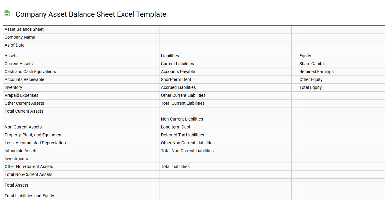 Company asset balance sheet Excel template