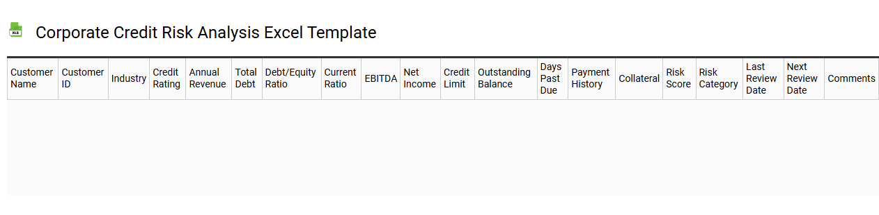 Corporate credit risk analysis Excel template