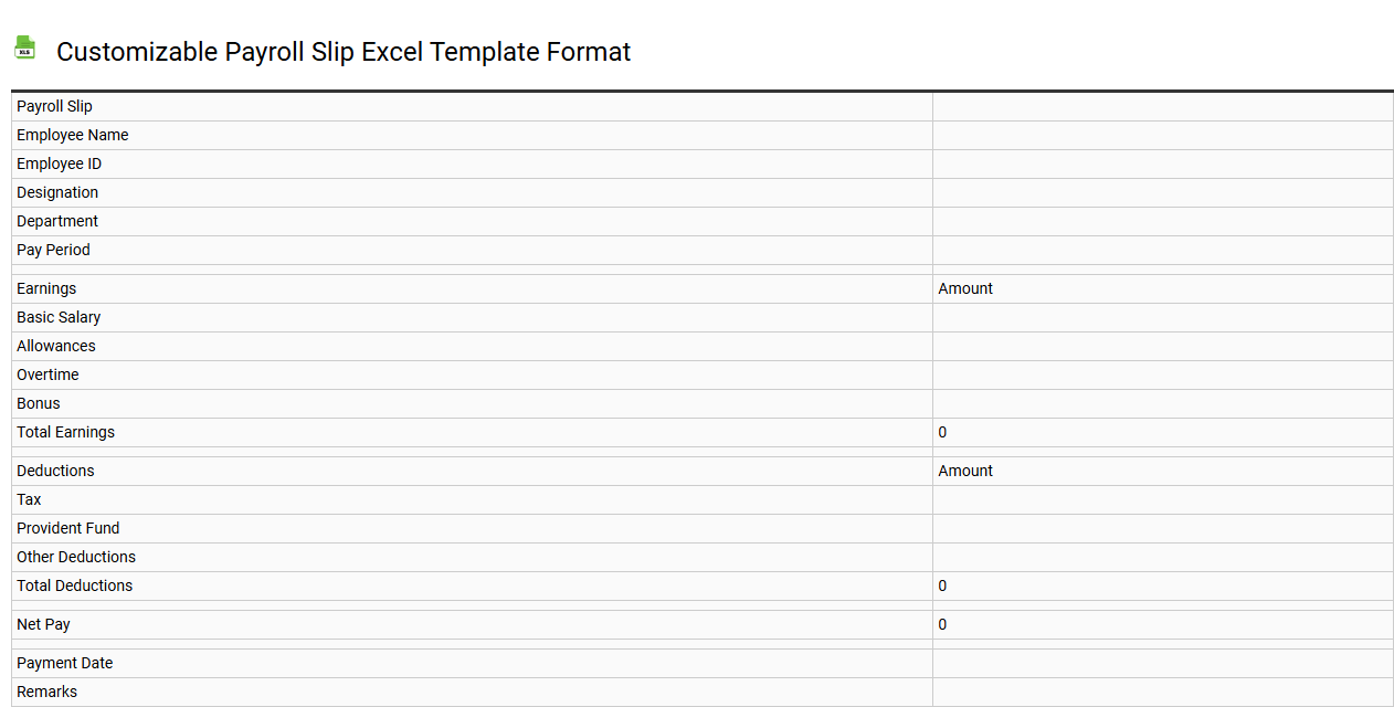 Customizable payroll slip Excel template format