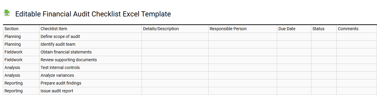 Editable financial audit checklist Excel template