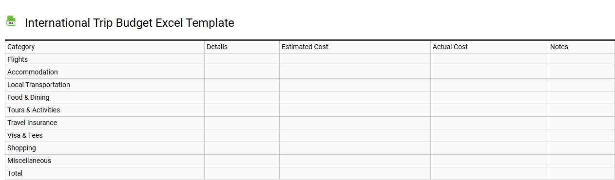 International trip budget Excel template