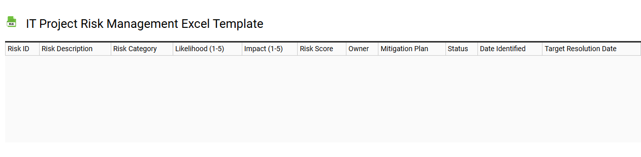 IT project risk management Excel template