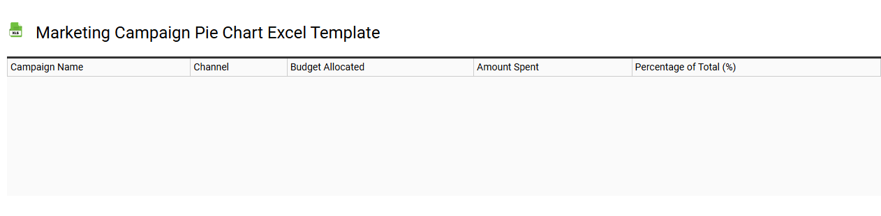 Marketing campaign pie chart Excel template