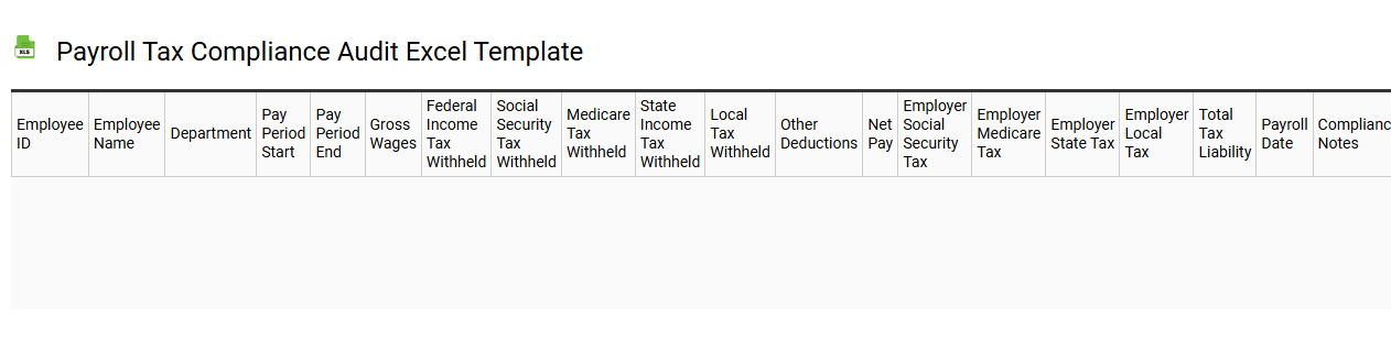 Payroll tax compliance audit Excel template