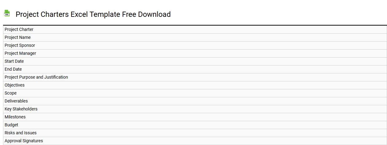 Project charters Excel template free download