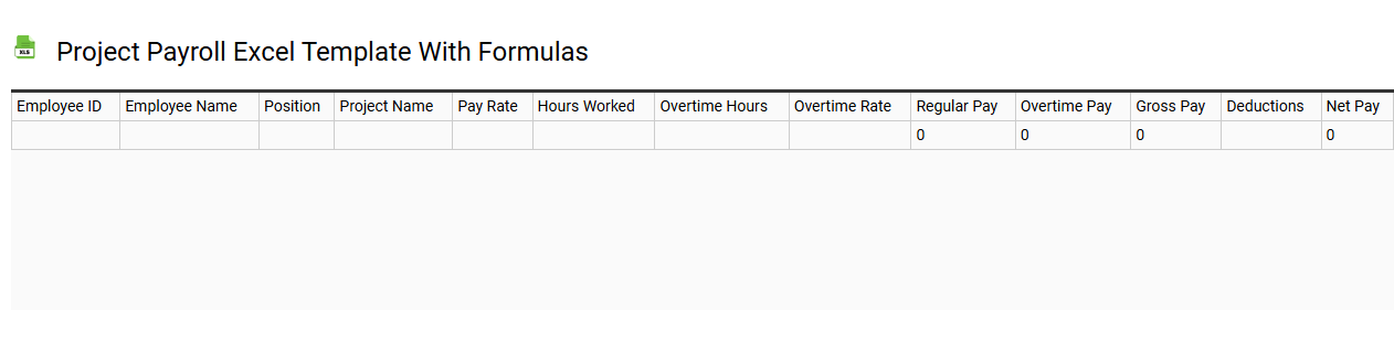 Project payroll Excel template with formulas