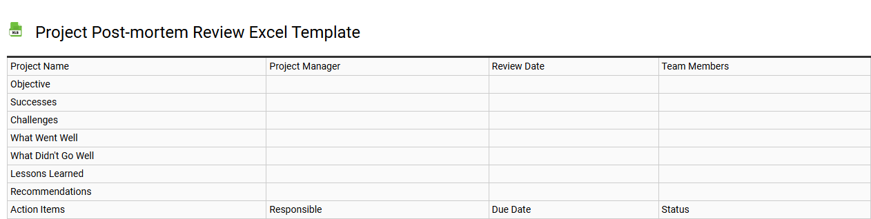 Project post-mortem review Excel template