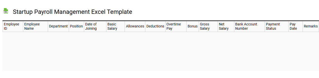 Startup payroll management Excel template