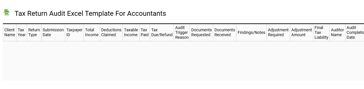 Tax return audit Excel template for accountants