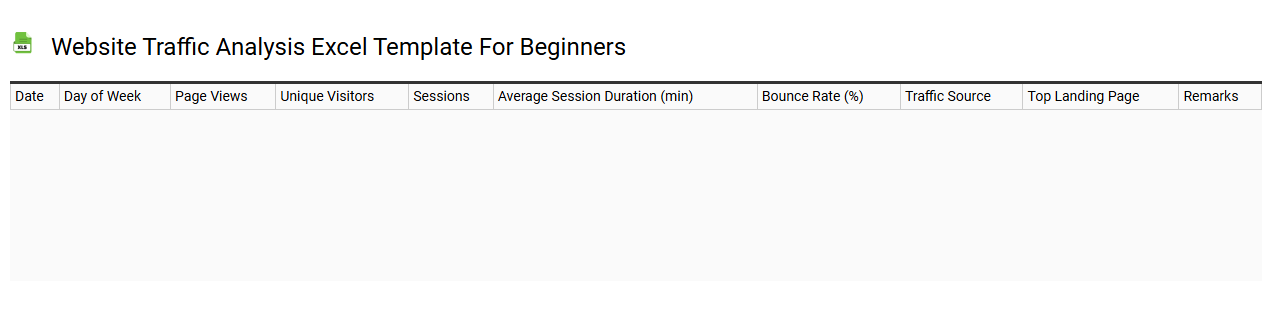 Website traffic analysis Excel template for beginners