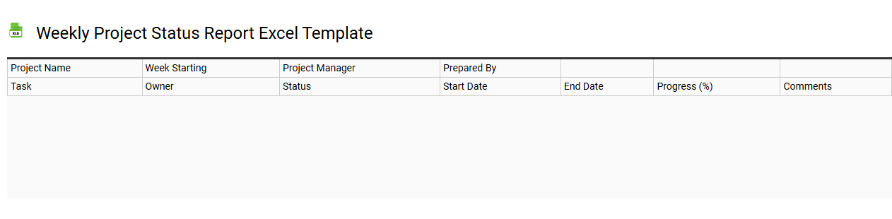 Weekly project status report Excel template