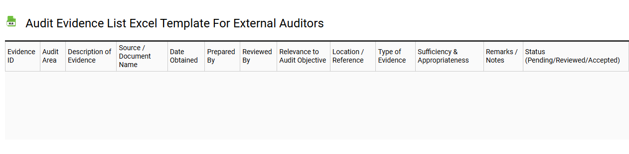 Audit evidence list Excel template for external auditors