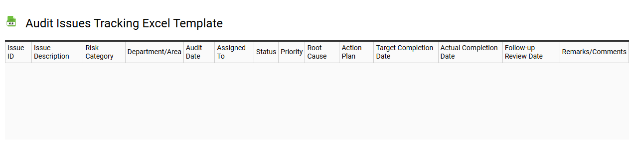 Audit issues tracking Excel template
