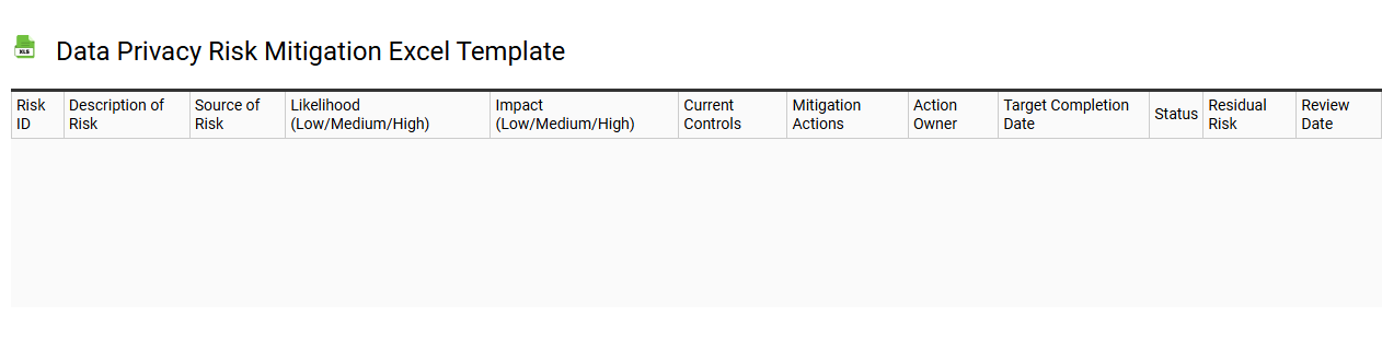 Data privacy risk mitigation Excel template