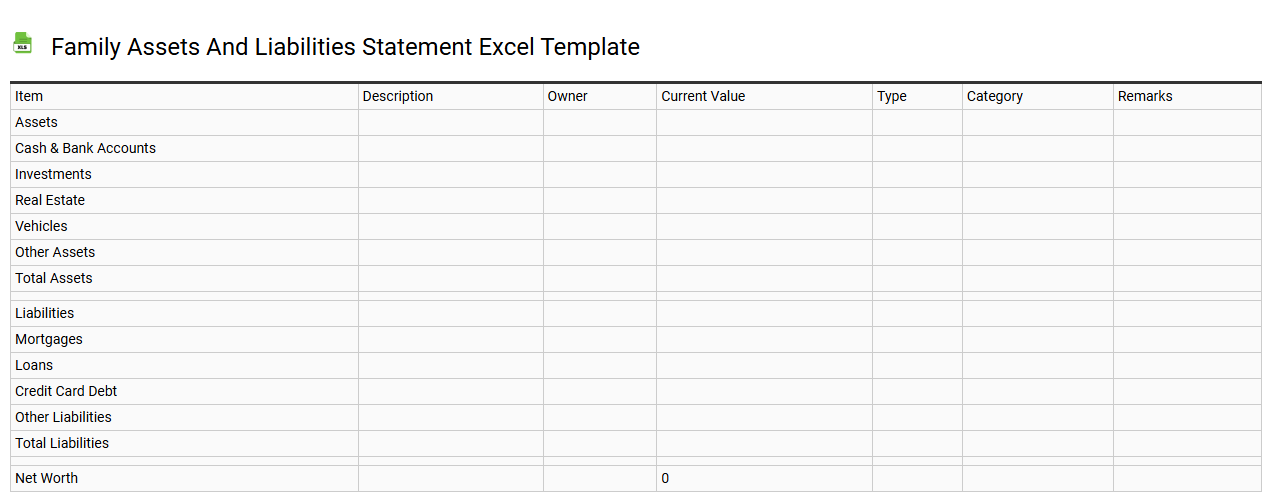 Family assets and liabilities statement Excel template