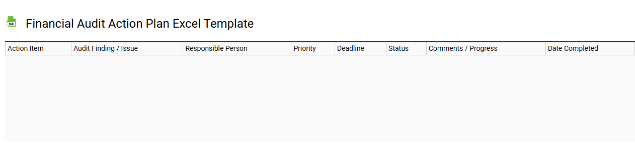Financial audit action plan Excel template