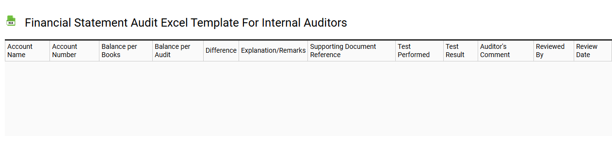 Financial statement audit Excel template for internal auditors