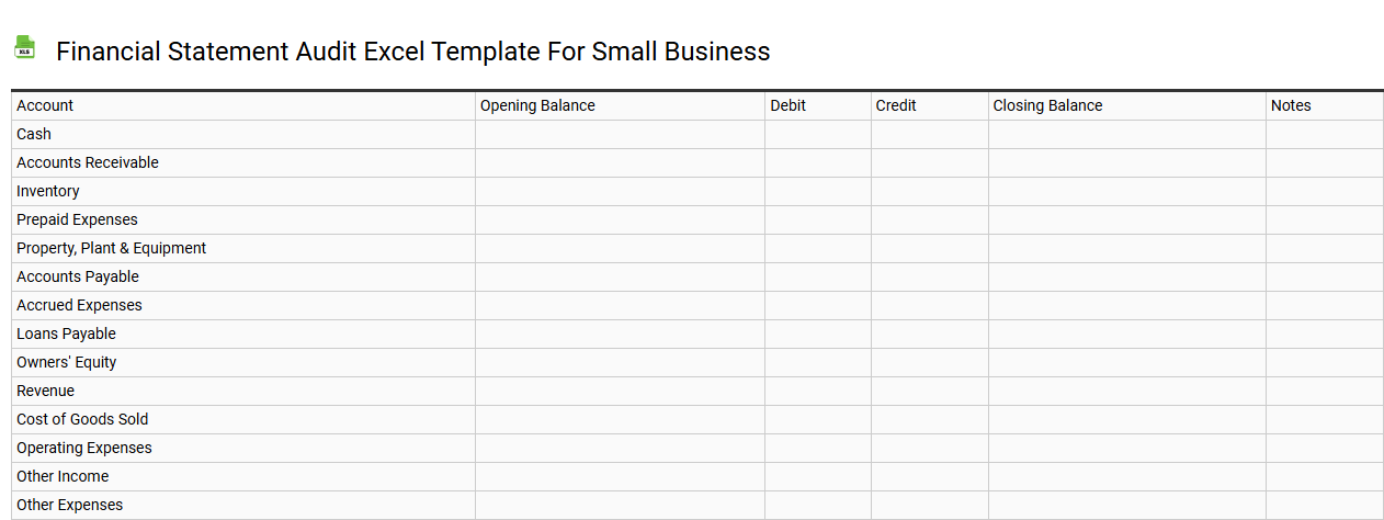 Financial statement audit Excel template for small business