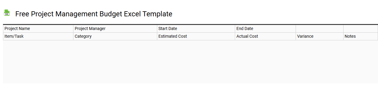 Free project management budget Excel template