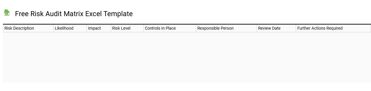 Free risk audit matrix Excel template