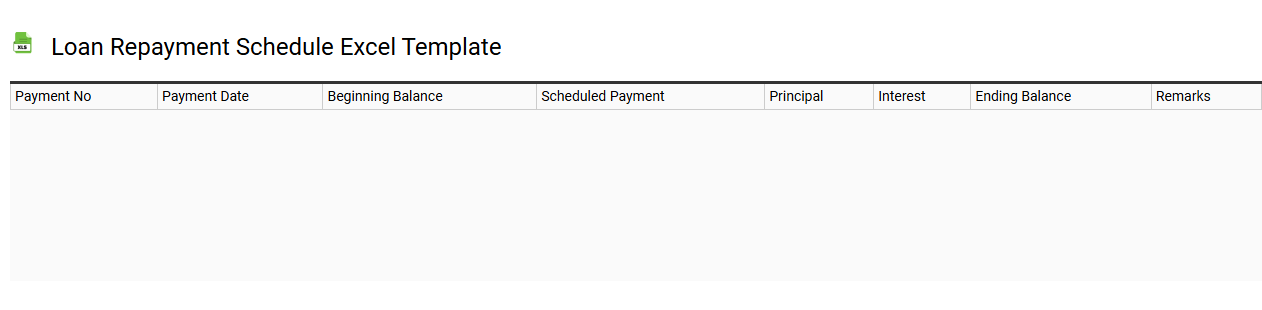 Loan repayment schedule Excel template