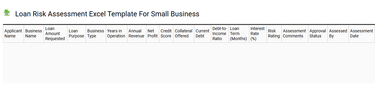 Loan risk assessment Excel template for small business