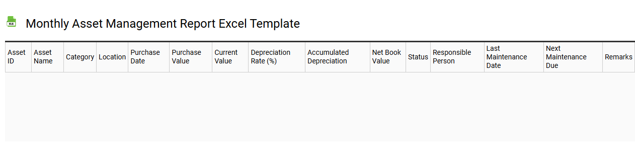 Monthly asset management report Excel template