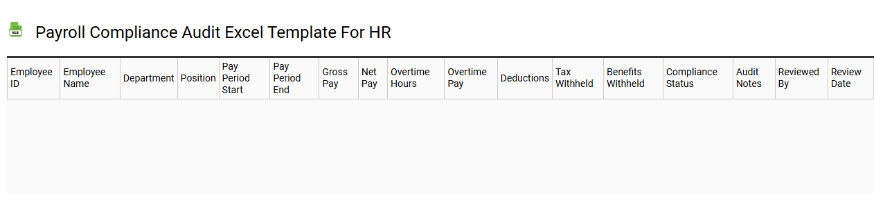 Payroll compliance audit Excel template for HR