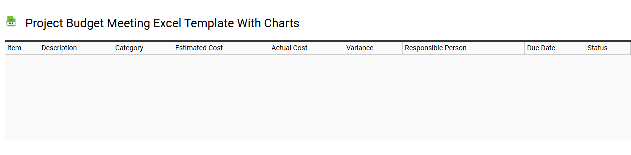 Project budget meeting Excel template with charts
