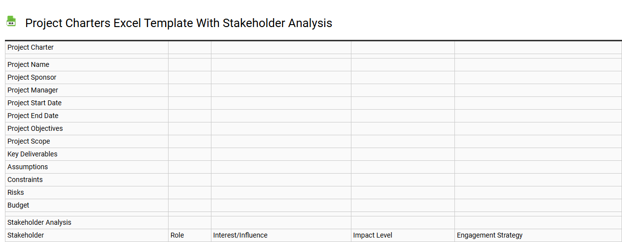Project charters Excel template with stakeholder analysis