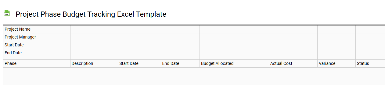 Project phase budget tracking Excel template