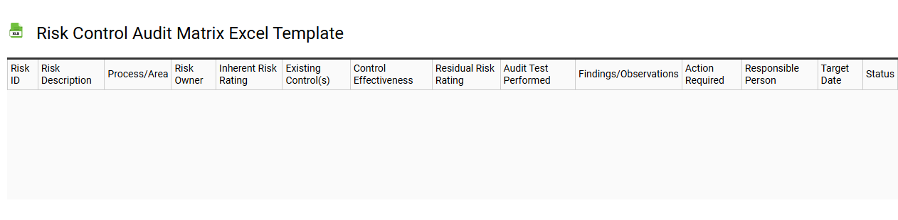 Risk control audit matrix Excel template