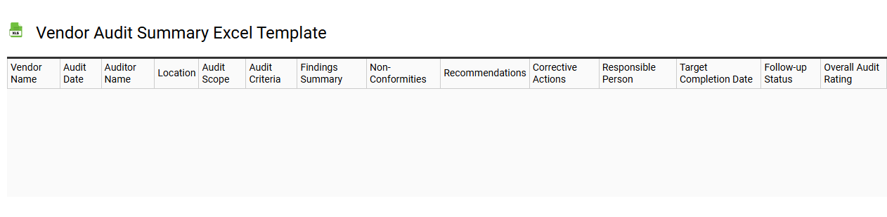 Vendor audit summary Excel template