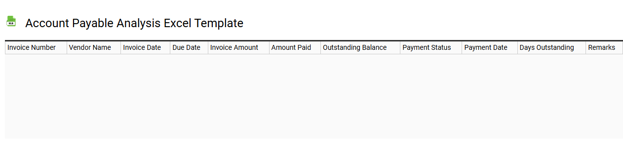 Account payable analysis Excel template