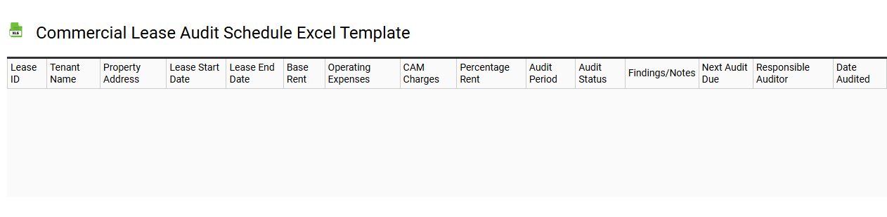 Commercial lease audit schedule Excel template