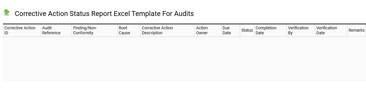 Corrective action status report Excel template for audits
