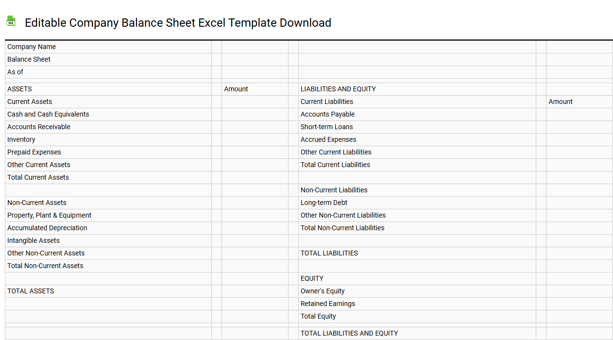 Editable company balance sheet Excel template download