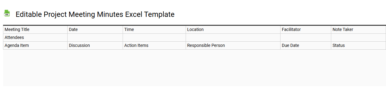 Editable project meeting minutes Excel template