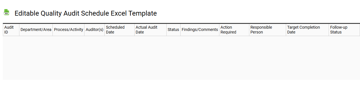 Editable quality audit schedule Excel template