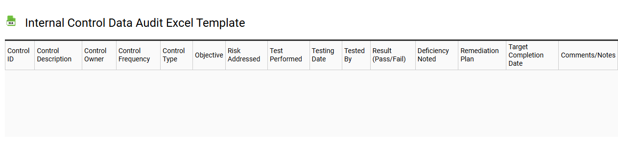 Internal control data audit Excel template