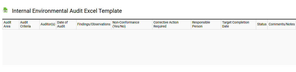 Internal environmental audit Excel template