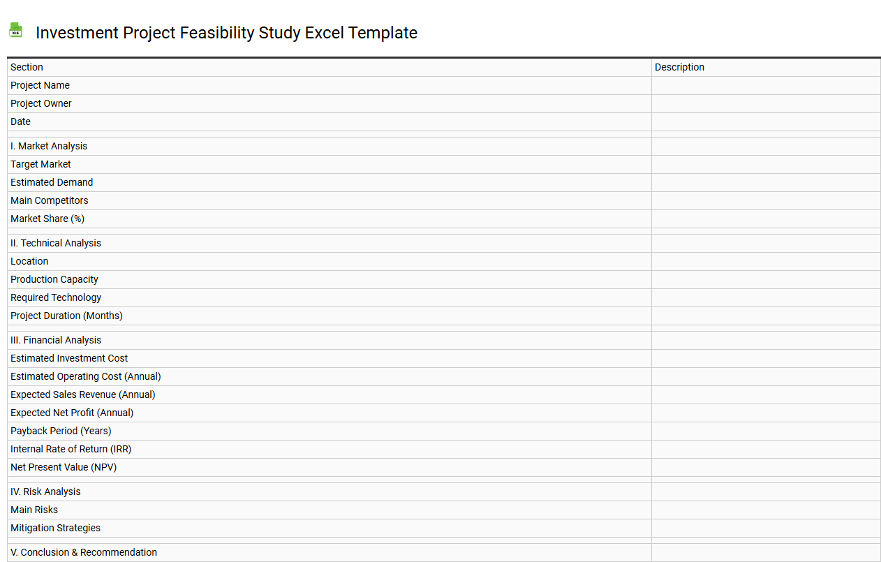 Investment project feasibility study Excel template