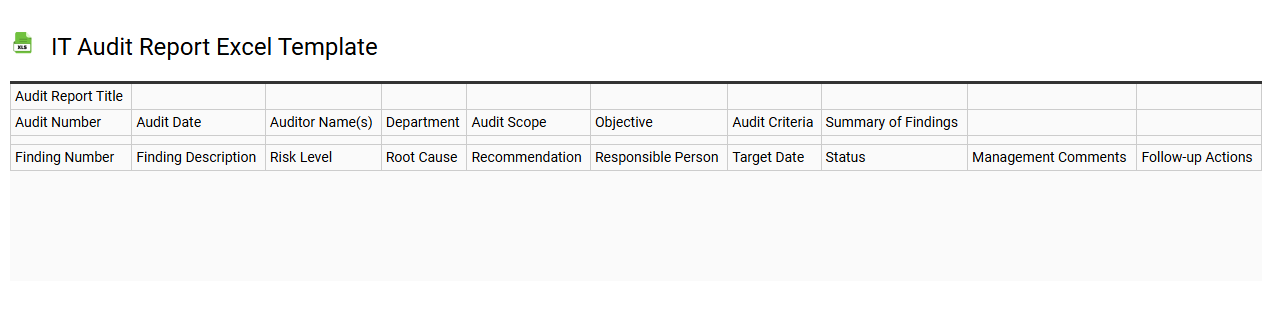 IT audit report Excel template