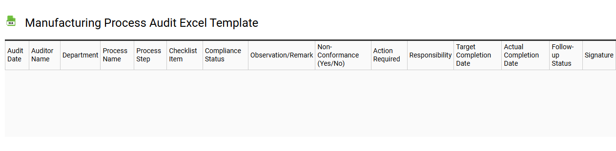 Manufacturing process audit Excel template