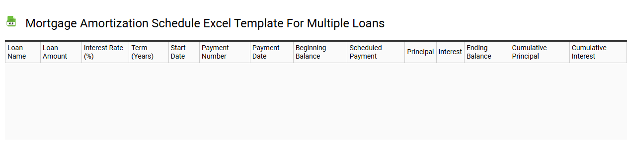 Mortgage amortization schedule Excel template for multiple loans